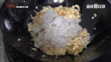완전 동물복지 중국 닭 사육장_5.webp