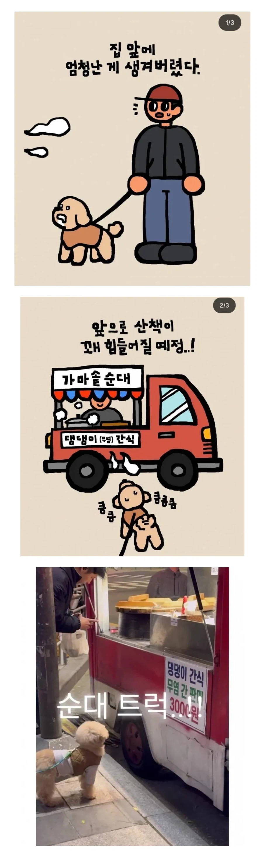 개들이 산책할때 못참는거_1.webp
