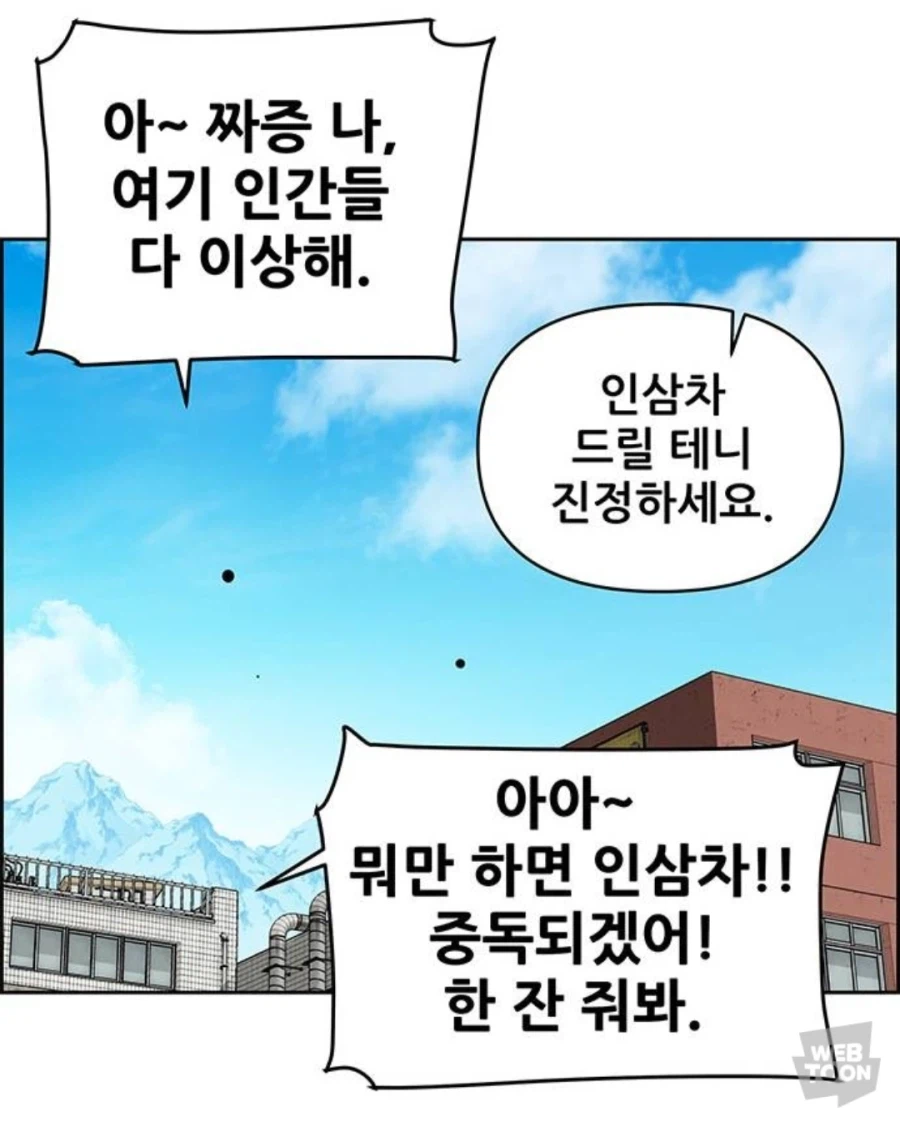 인삼차 바이럴 웹툰_19.webp