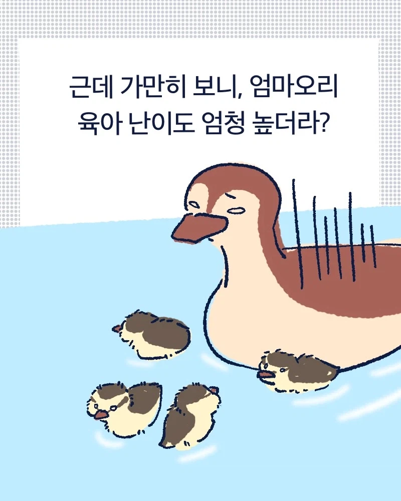 청계천 아기오리들.mp4_3.webp