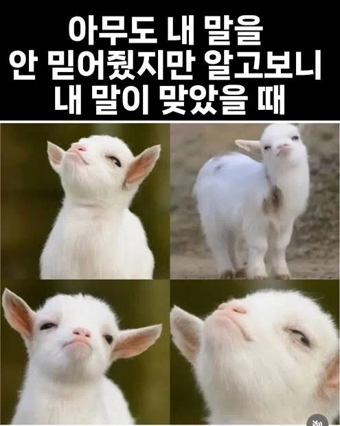 실존 인물에 중립 지키면 자주 할 수 있는 행동_1.webp