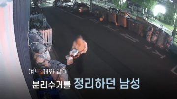 70대 경비원이 분리수거장에서 발견한 것._1.webp