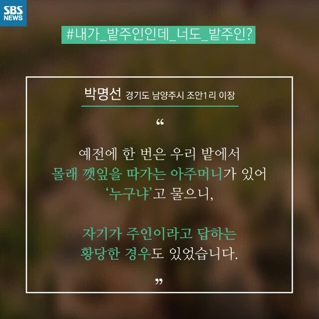 "한국인은 남이 두고간 물건 안훔친다"_1.webp