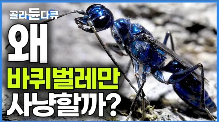 모두의 존경을 받는 곤충_1.webp