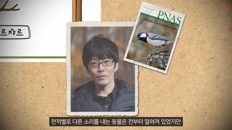 20년 동안 박새의 '언어'와 '문법'을 증명한 과학자_26.webp