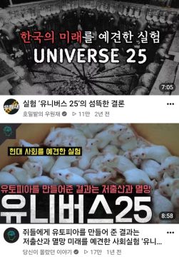 한국에서 유명한 쥐 유토피아 실험의 진실.JPG_3.webp