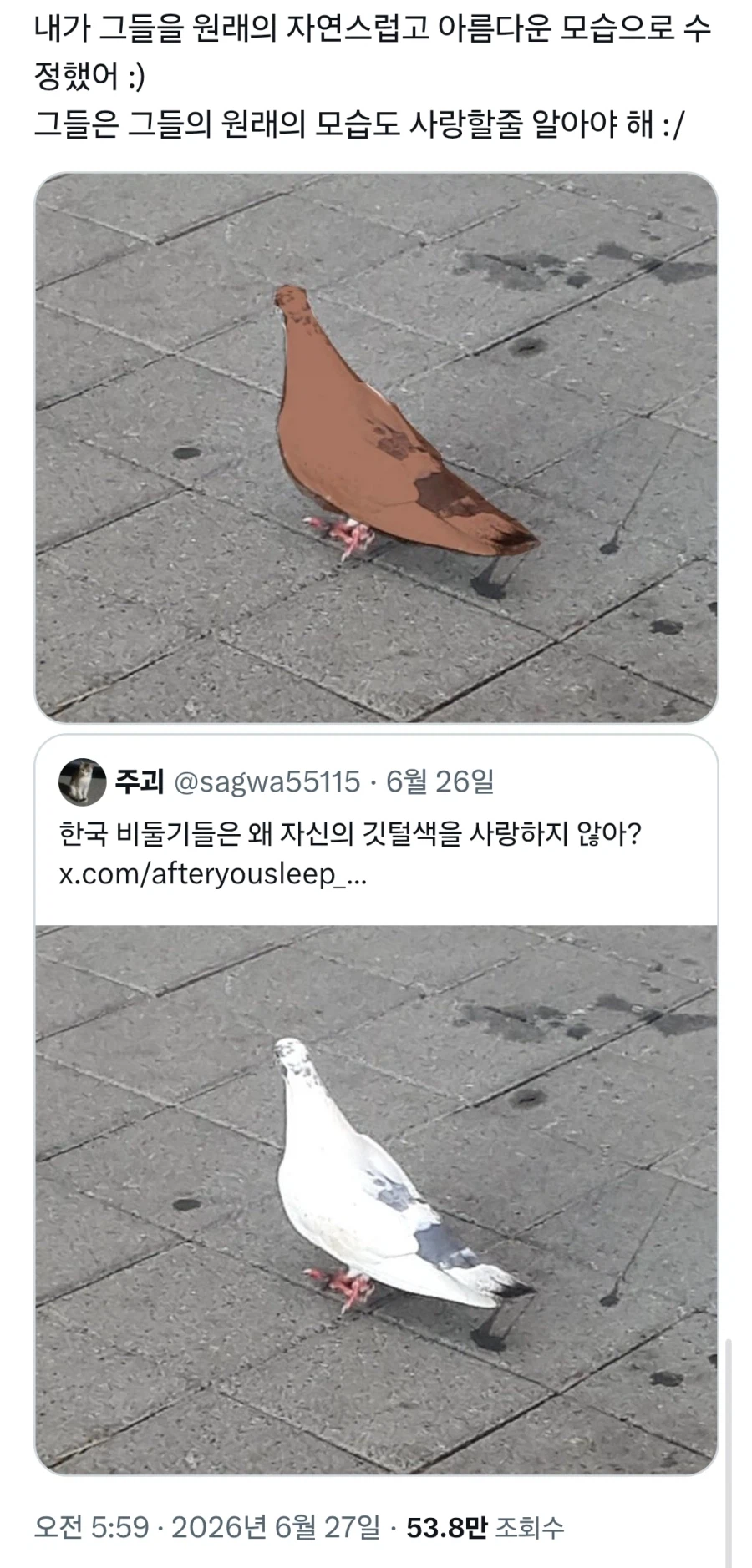 비둘기로 비유하는 지금 한중일 트위터 유저들이 신경 곤두선 이유_6.webp