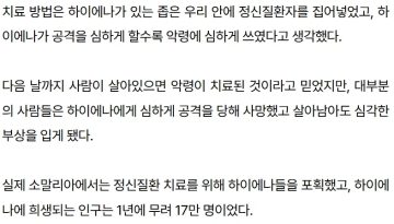 소말리아에서는 정신병에 걸린 사람에게 의사가 이놈 한다고 한다_2.webp