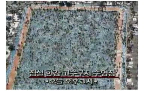 사상 최악의 폭염 이었던 1994년의 여름풍경_3.webp