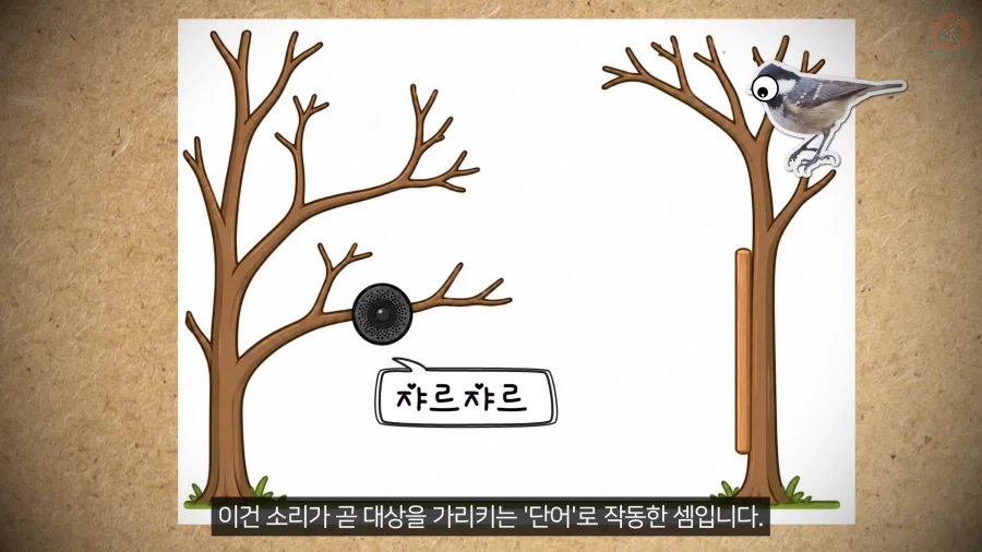 20년 동안 박새의 '언어'와 '문법'을 증명한 과학자_25.webp