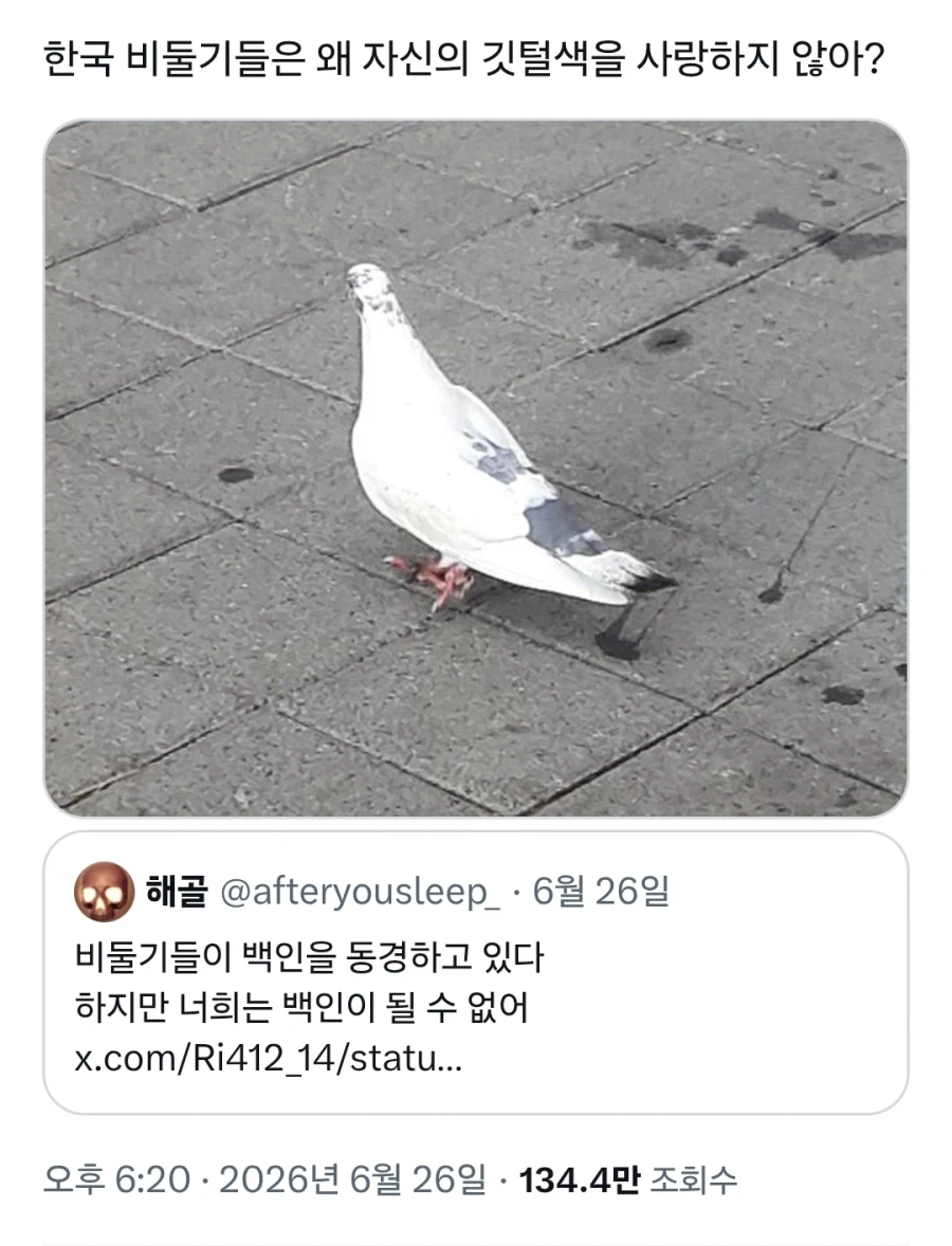 비둘기로 비유하는 지금 한중일 트위터 유저들이 신경 곤두선 이유_5.webp