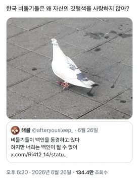 비둘기로 비유하는 지금 한중일 트위터 유저들이 신경 곤두선 이유_5.webp