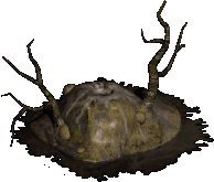 디아블로2 두번째 확장팩 정보 및 설문조사 총정리 (레저렉션)_12.gif