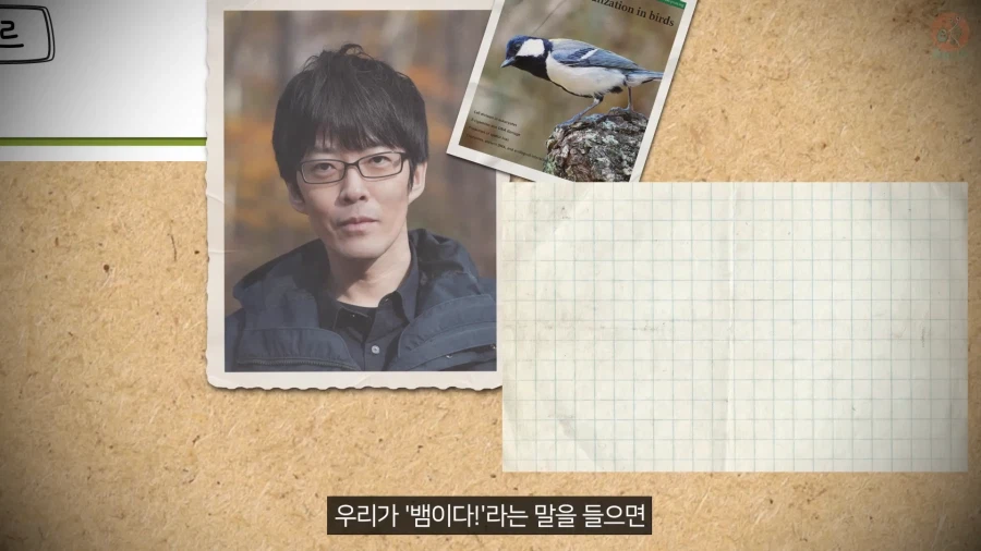 20년 동안 박새의 '언어'와 '문법'을 증명한 과학자_31.webp
