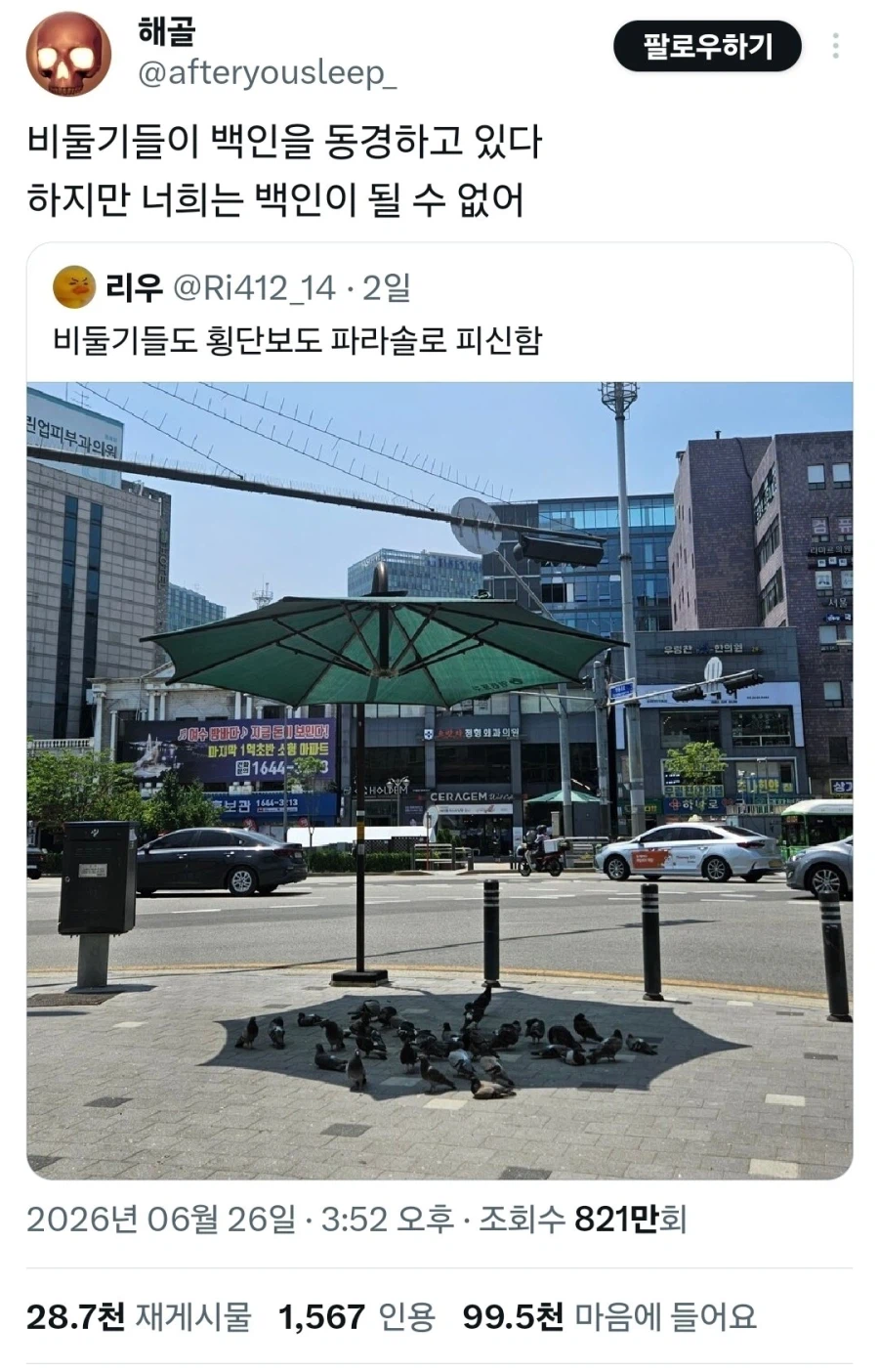 비둘기로 비유하는 지금 한중일 트위터 유저들이 신경 곤두선 이유_1.webp