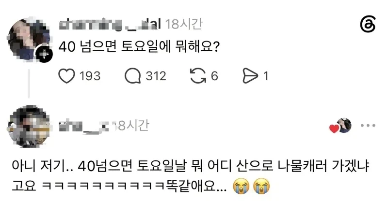 40 넘으면 토요일에 뭐해요_1.webp