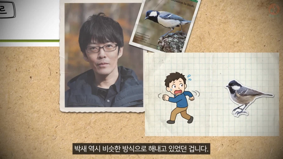 20년 동안 박새의 '언어'와 '문법'을 증명한 과학자_33.webp