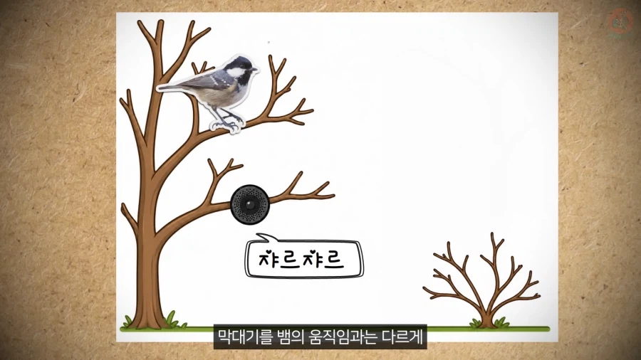 20년 동안 박새의 '언어'와 '문법'을 증명한 과학자_14.webp