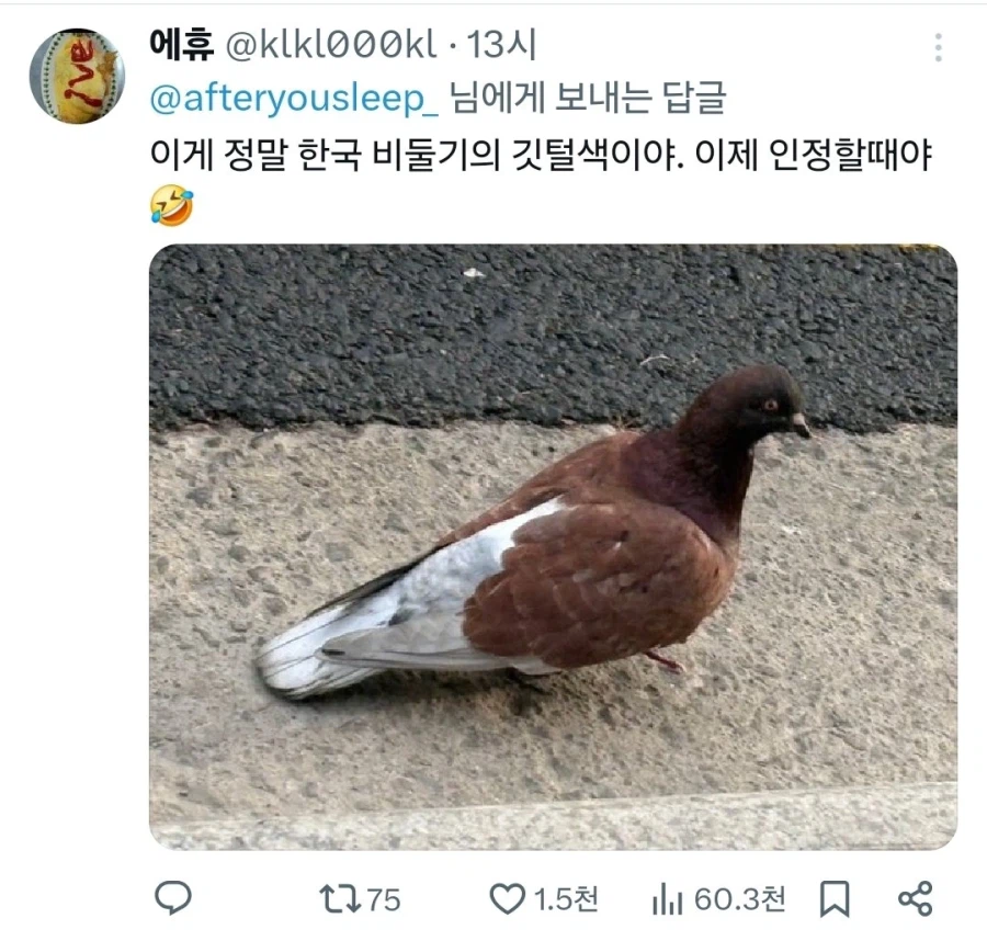 비둘기로 비유하는 지금 한중일 트위터 유저들이 신경 곤두선 이유_3.webp