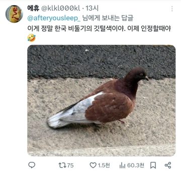 비둘기로 비유하는 지금 한중일 트위터 유저들이 신경 곤두선 이유_3.webp