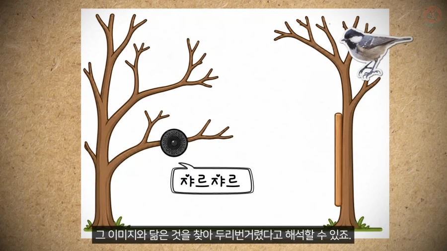 20년 동안 박새의 '언어'와 '문법'을 증명한 과학자_24.webp