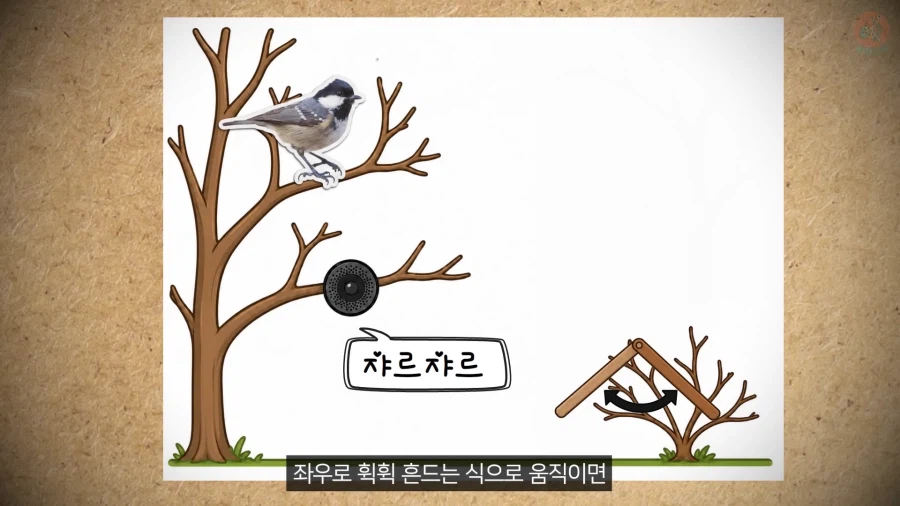 20년 동안 박새의 '언어'와 '문법'을 증명한 과학자_15.webp
