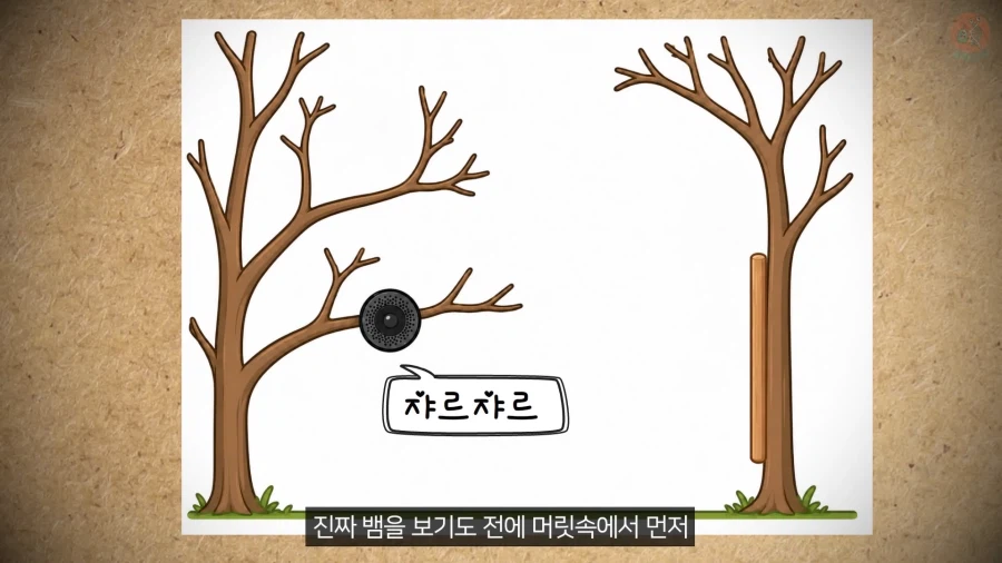 20년 동안 박새의 '언어'와 '문법'을 증명한 과학자_23.webp