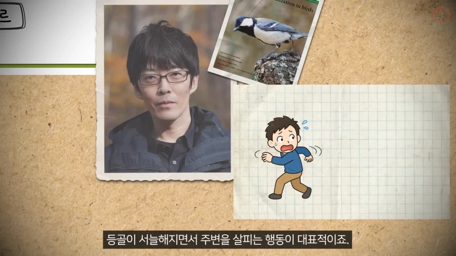 20년 동안 박새의 '언어'와 '문법'을 증명한 과학자_32.webp