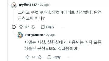 한국에서 유명한 쥐 유토피아 실험의 진실.JPG_13.webp