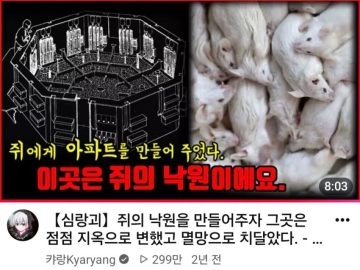한국에서 유명한 쥐 유토피아 실험의 진실.JPG_2.webp