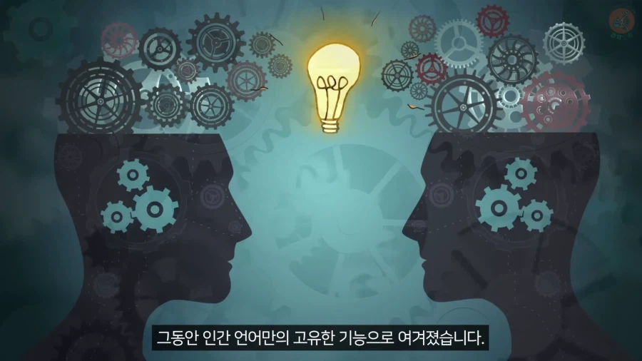 20년 동안 박새의 '언어'와 '문법'을 증명한 과학자_30.webp