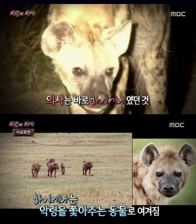 소말리아에서는 정신병에 걸린 사람에게 의사가 이놈 한다고 한다_1.webp