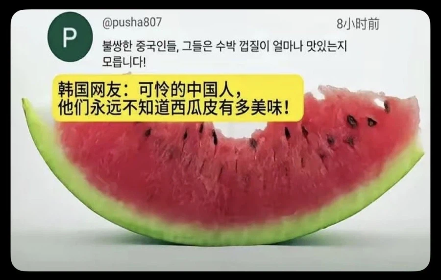 중국인들이 진지하게 믿는 한국 수박론_3.webp