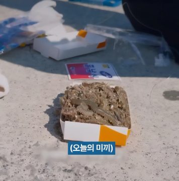 사람들이 거제소녀가 컨셉이 아니라 찐이라고 느낀순간_2.webp