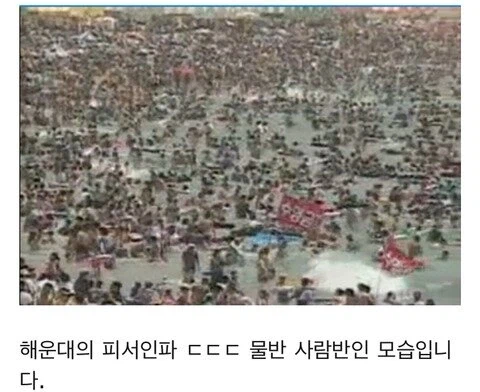 사상 최악의 폭염 이었던 1994년의 여름풍경_7.webp