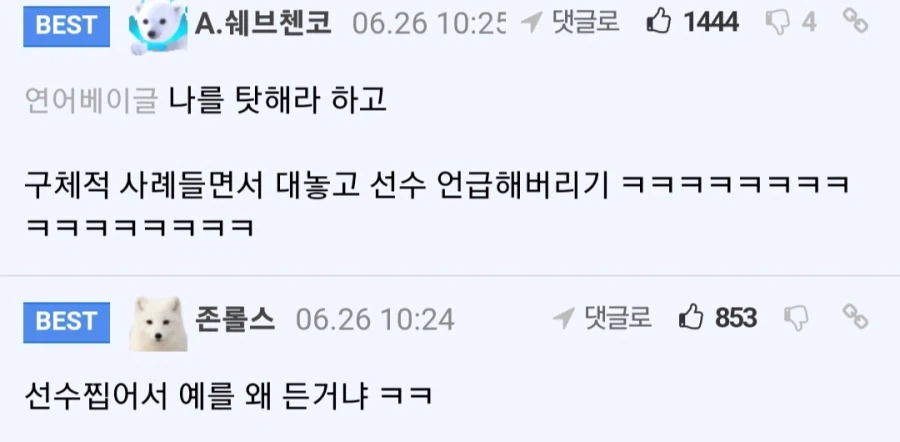 이번 월드컵에서 홍명보가 김승규 대신 조현우를 넣지 않은 이유_6.webp