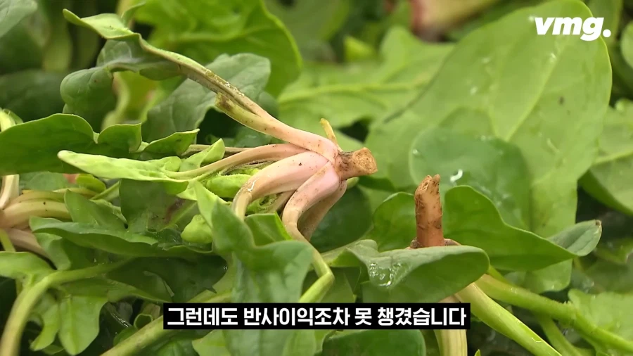 홈플러스 따라 십창나고있다는 마트.jpg_8.webp