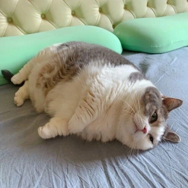 나도 커미션 해보고싶다_2.webp